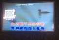 杭州市秋涛路周边热门KTV娱乐新去处